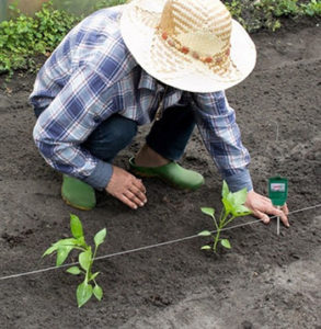 Tester gleby – czy warto używać go w swoim ogrodzie?