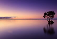 Jak odmulać wodę w akwarium? Jak odmulać wodę w akwarium?