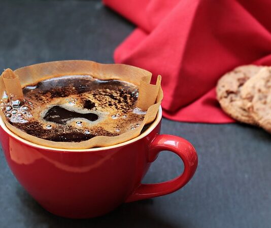 Jak długo ma działać filtr w akwarium? Jak długo ma działać filtr w akwarium?