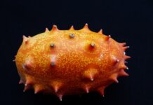 Na co jest dobry ogórek? Na co jest dobry ogórek?