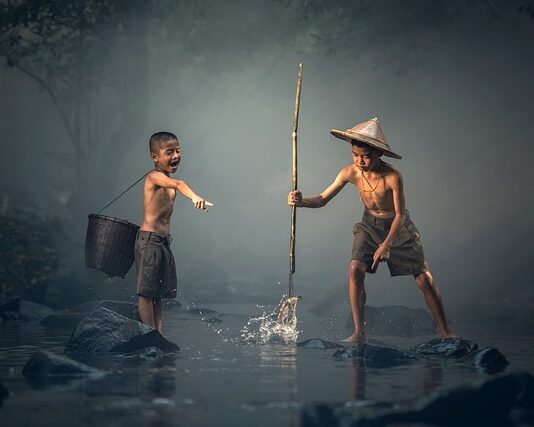 Kiedy wpuścić ryby po restart akwarium? Kiedy wpuścić ryby po restart akwarium?