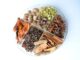 Co to jest kardamon po polsku? Co to jest kardamon po polsku?