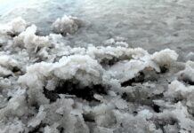 Czy olej z pestek dyni zawiera magnez? Czy olej z pestek dyni zawiera magnez?