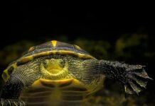 Gdzie kupić nici wędliniarskie? Gdzie kupić nici wędliniarskie?