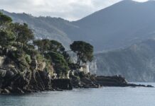 Ile kosztuje 1 kg marihuany? Ile kosztuje 1 kg marihuany?