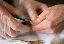 W jakim wieku można obciąć psu pazury? W jakim wieku można obciąć psu pazury?