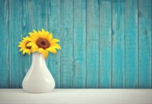 Czy w słoneczniku jest żelazo? Czy w słoneczniku jest żelazo?